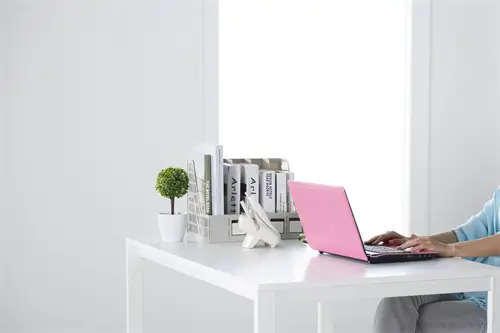 专利审核法律责任是什么