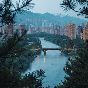 看法律书的镜头叫什么