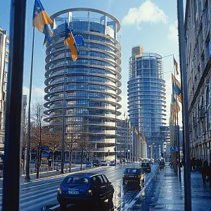 法律移植是什么