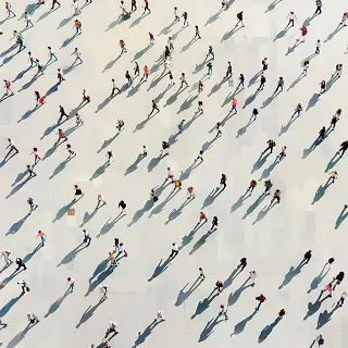 交通事故有什么法律