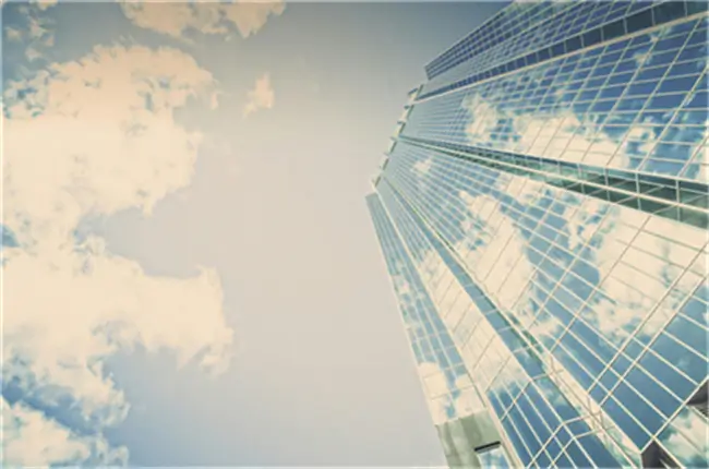 蒙古人有什么法律特权