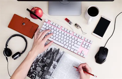 法律范围内做什么都行